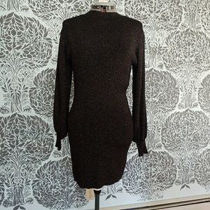NWT shimmer sweater dress
